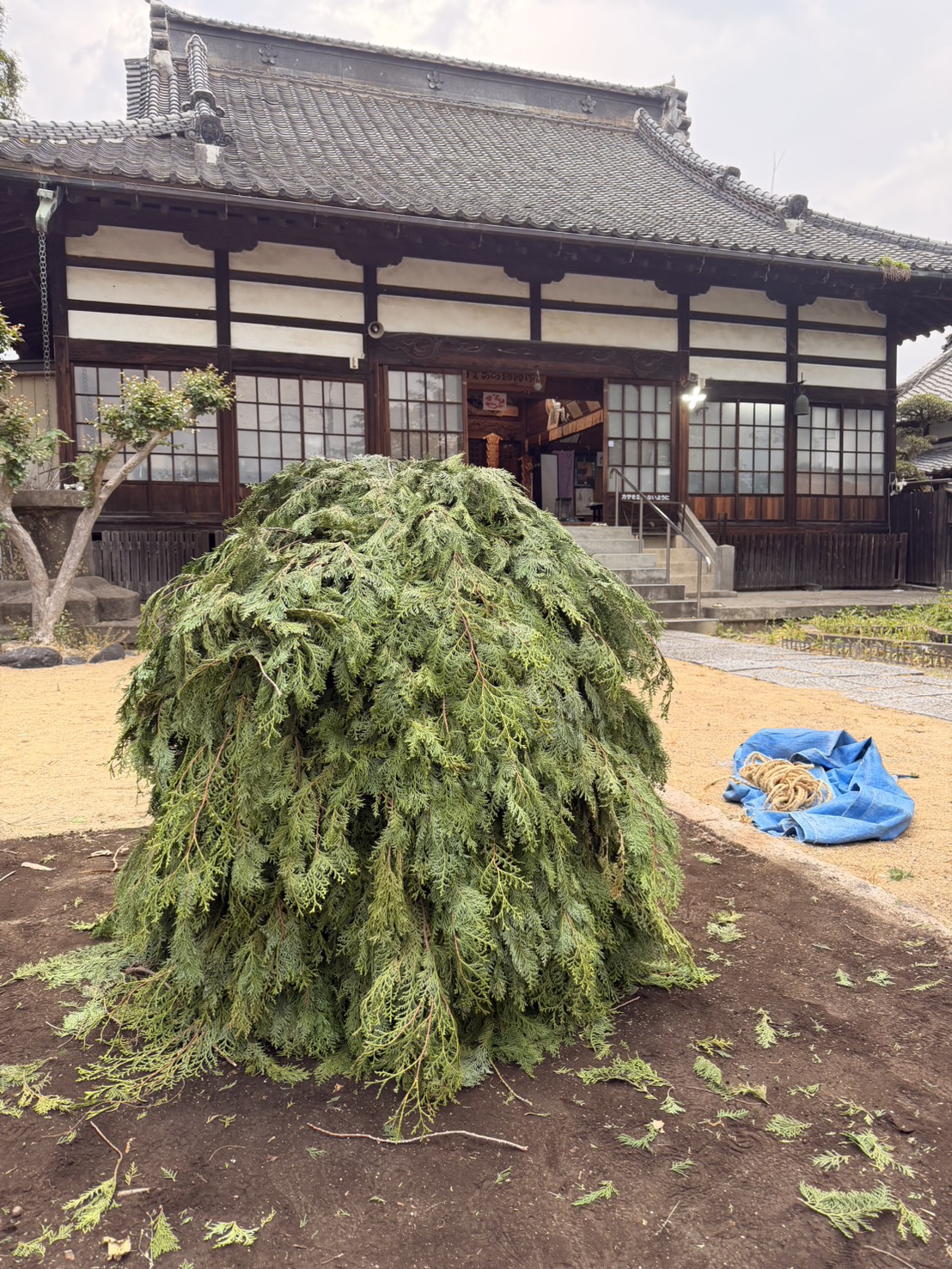 令和八年 柴燈護摩供法要・火渡り